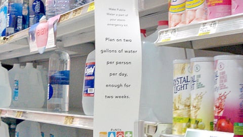 Publix Storm Basics Aisle Violator