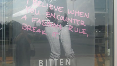 Steve & Barry's Bitten Window Poster