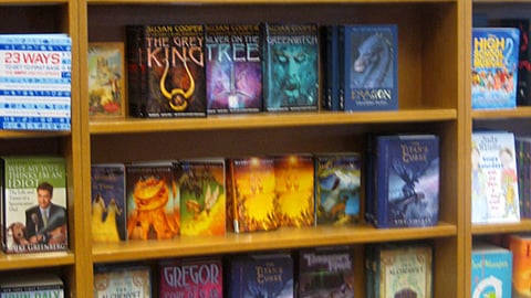 Borders 'If You Like Harry Potter' Merchandising