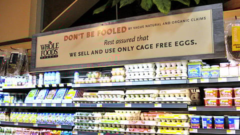 Whole Foods Cage-Free Eggs Cooler