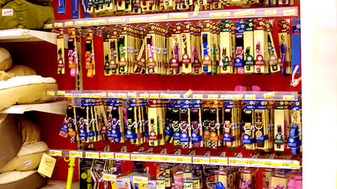 Target Dog Leash In-Line Display