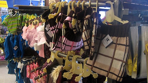 Petco Apparel Merchandising