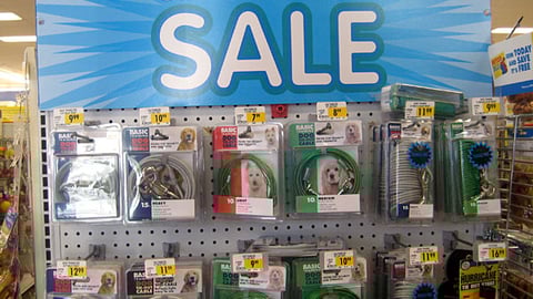 Petco 'National Grand Opening' Header