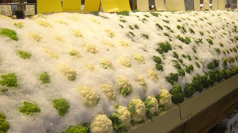 Central Market Produce Merchandising