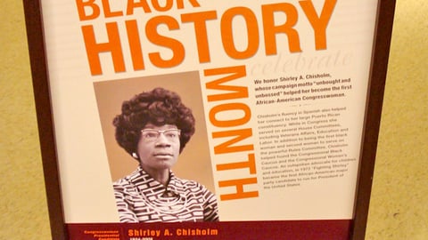 Dominick's Black History Month Stanchion