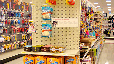 Target Puppy Basics Endcap