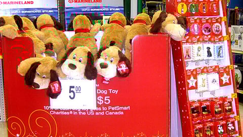 PetSmart Charities 'Luv-A-Pet' Displays