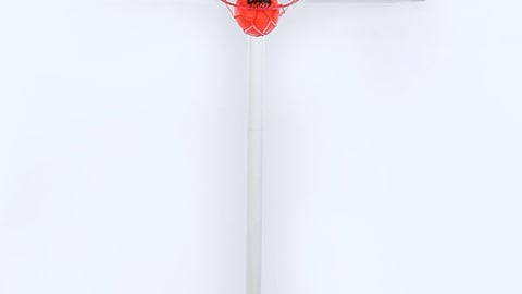 Coors Light Mavericks Basketball Display