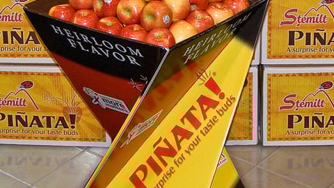Pinata Apple Twist Display