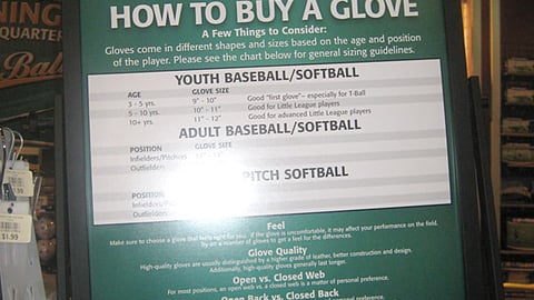 Dick's Sporting Goods Instructional Stanchion