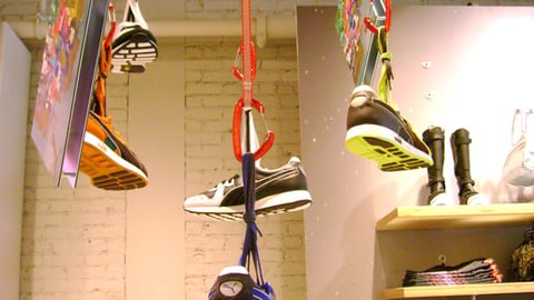 Puma Ceiling Carabiners