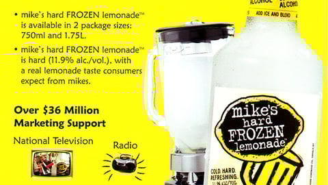 Mike's Frozen Lemonade Sell Sheet