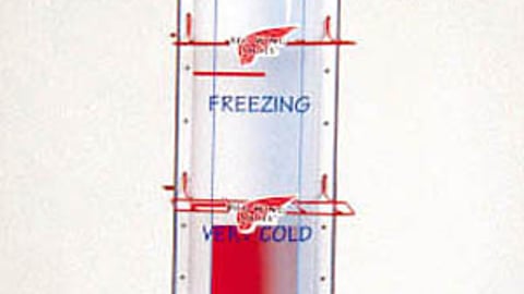 Red Wing Muscle Shoe Display Tower