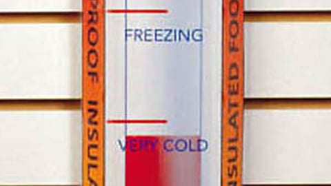 Red Wing Muscle Shoe Slatwall