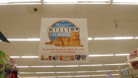 9 Lives 'Cat Rescue' Ceiling Hanger