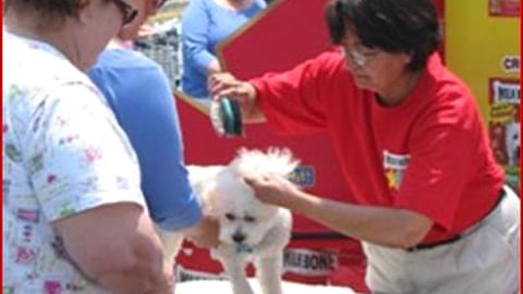 Milk-Bone Canine Cruiser Event