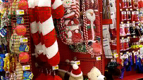 Petco 'Naughty or Nice' Holiday Toys Endcap
