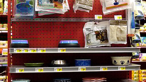 Petco 'Naughty or Nice' Holiday Endcap Header