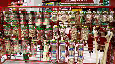 Petco 'Naughty or Nice' Holiday Floorstand