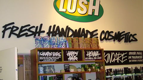 Lush Wall Graphics
