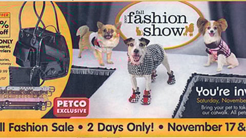 Petco Fall Fashion Show Feature