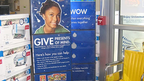 Best Buy Holiday Stanchions