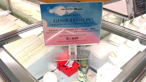 Sears 'Luke and Laura' Counter Sign 