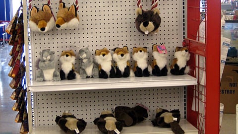 Petco Holiday Header