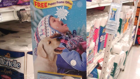 Cottonelle Promotional Aisle Violator