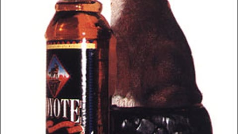 Coyote Tequila Bottle Glorifier
