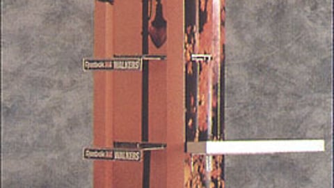 Reebock Lady Foot Locker