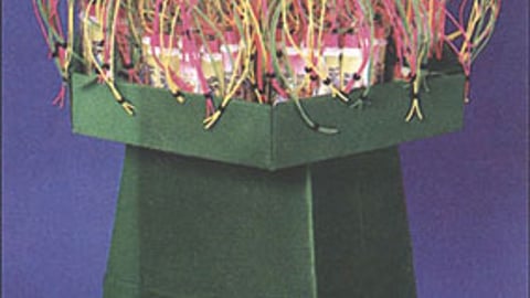 Neon Beach Tubed Gum Floorstand