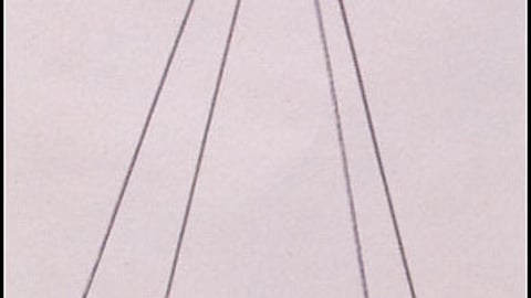 Green Giant Hanging Display