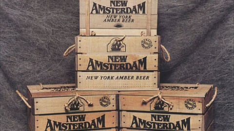 New Amsterdam Cases