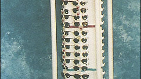 Foster Grant Malago Bay Sunglasses Display