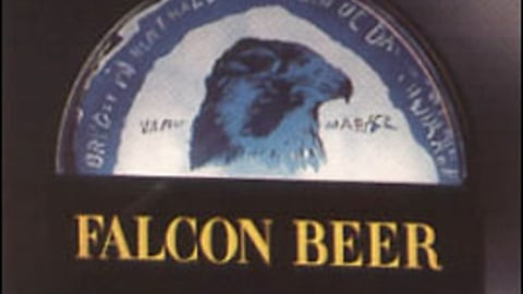 Falcon Backbar Illuminated Sign