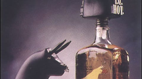 T.Q. Hot Bull's Head Bottle Pourer