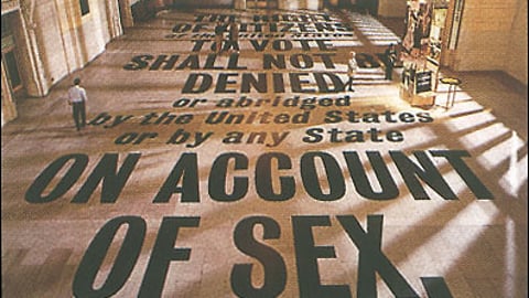 19th Amendment Floor Cling
