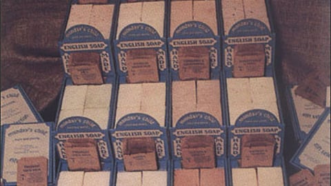 Naked Earth Countertop