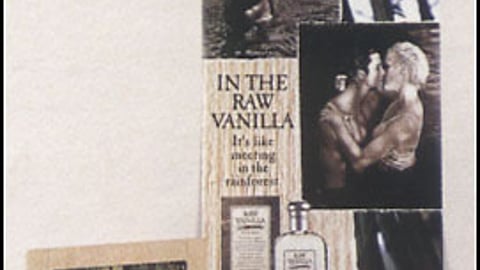 Coty Raw Vanilla Display