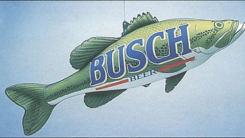 Busch Fishing