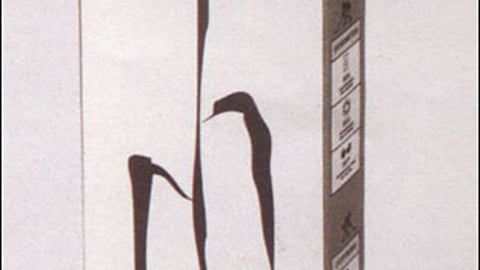 Black Daisies Hockey Wheels Package