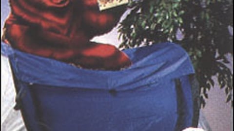 President Baking Bear-Size Promotion Display