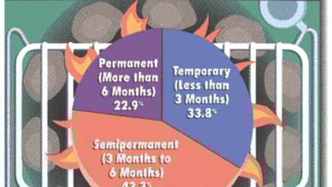Sporting Goods Retailers: What Type of Manufacturer-Supplied P-O-P Do You Accept Most Often?