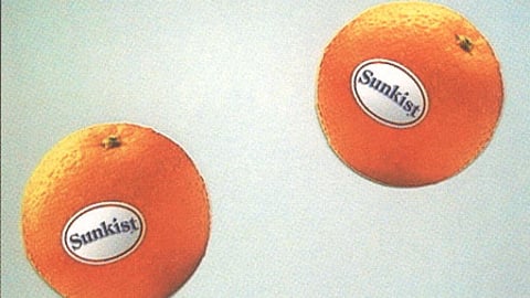 Sunkist Oranges Floor Clings