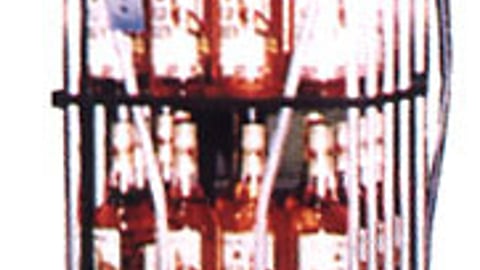 Wild Turkey Floorstand