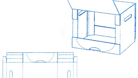 Shipping/Display Container