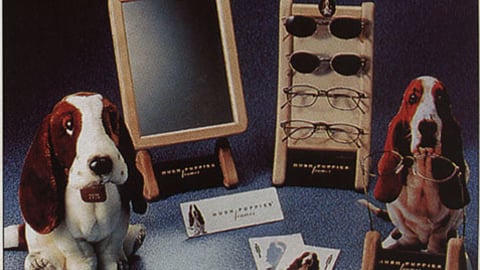 Hush Puppies Eyeglass Frames Display