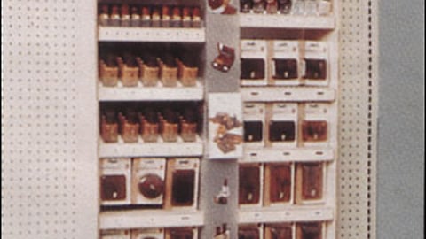 Dark & Lovely Wall Unit