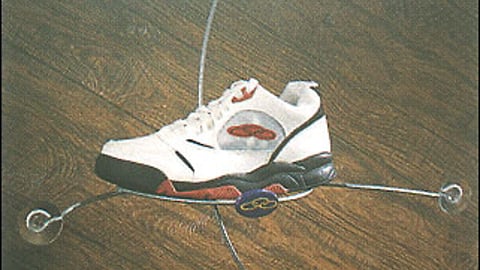 Spider Window Display